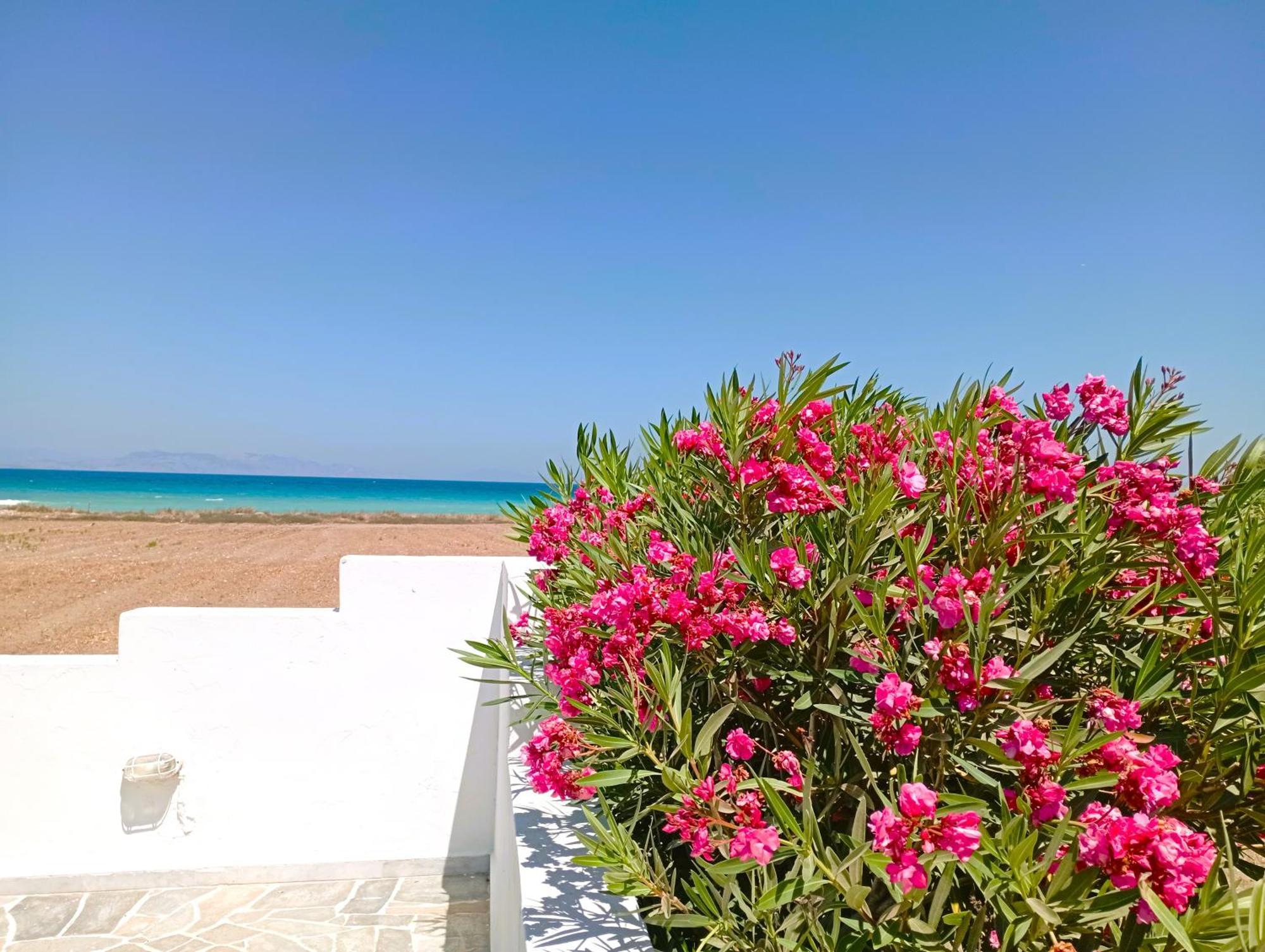 Nautilus Beach House Paradeísion Екстериор снимка