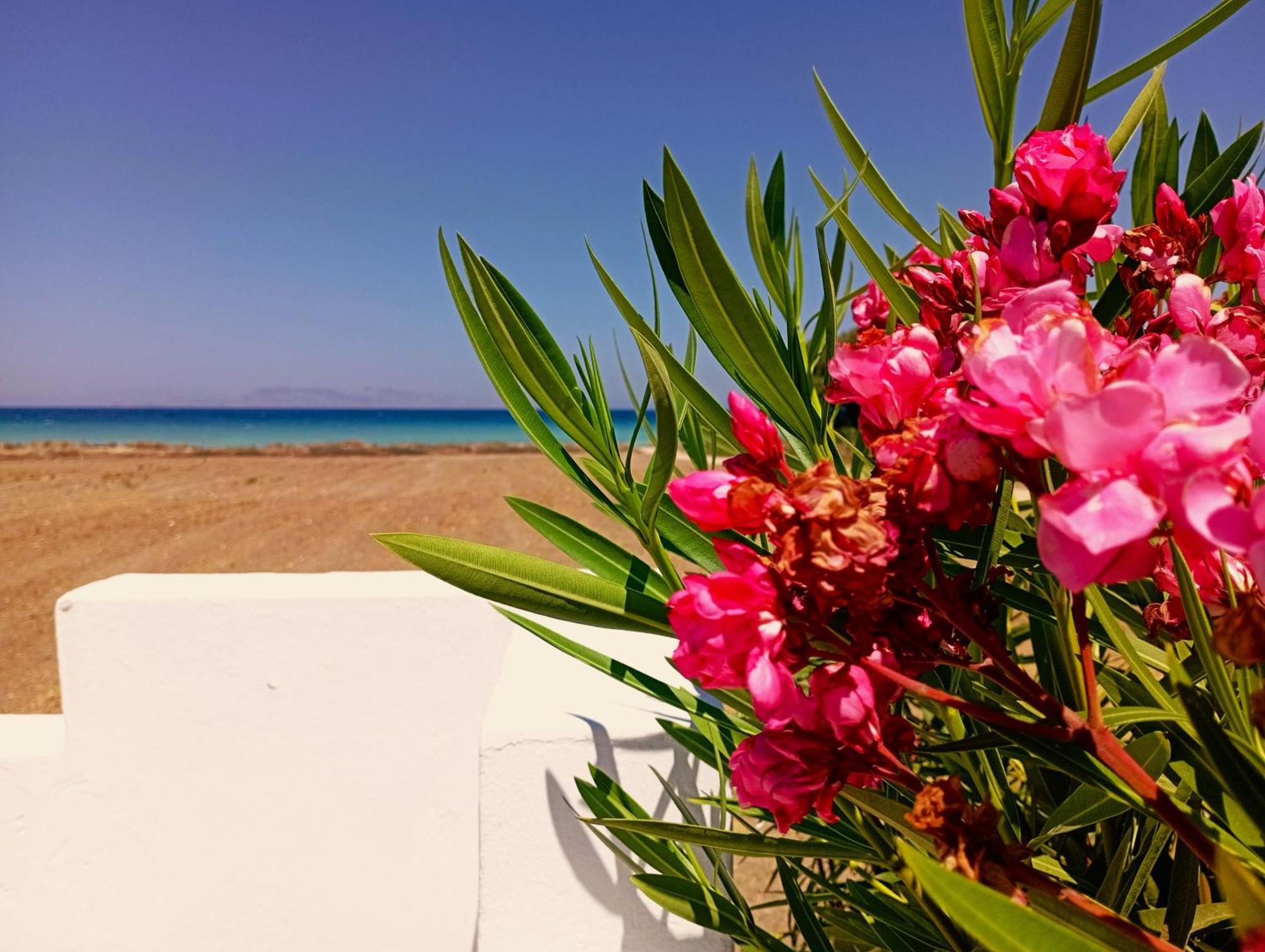 Nautilus Beach House Paradeísion Екстериор снимка